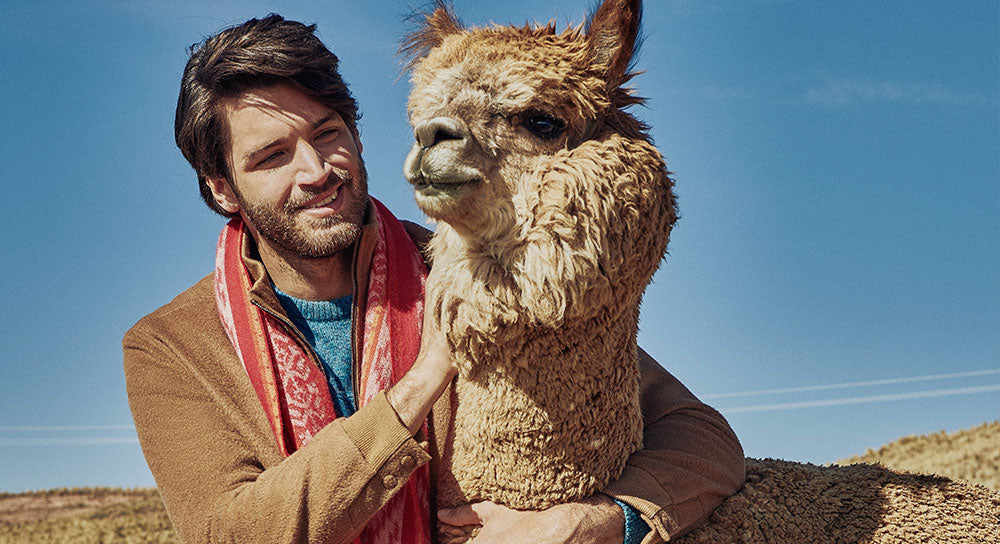 Buy An Alpaca Scarf, Help Reverse Deforestation In The Andes...