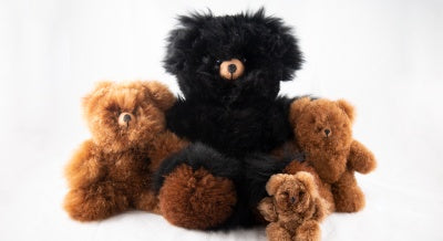 5 Reasons To Buy A Teddy Bear Made Of Alpaca Fur