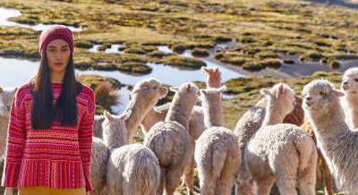 Alpaca Fiber: The Most Eco Friendly Fashion