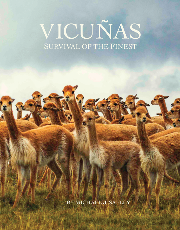 Vicunas: Survival of the Finest